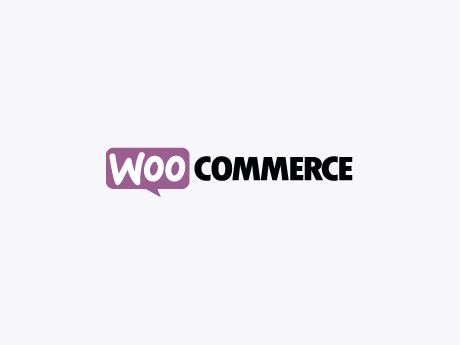 WooCommerce Shop Extension - Payment Plugin